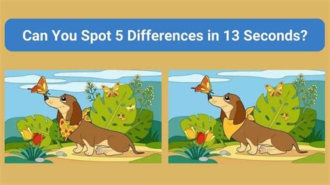 What’s The Difference Between A 9.5 And 10.5 Degree .